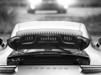 CL1A3483 (image copyright 2026 Tim Vechik)