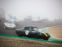 _J1D3703 (image copyright 2026 Tim Vechik)