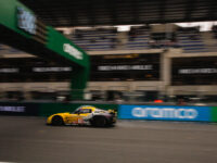 L97A0246 (image copyright 2026 Tim Vechik)