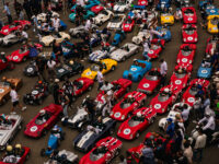 L97A0374 (image copyright 2026 Tim Vechik)