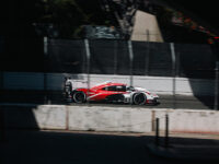 untitled-4517-15061-2 (image copyright 2026 Tim Vechik)